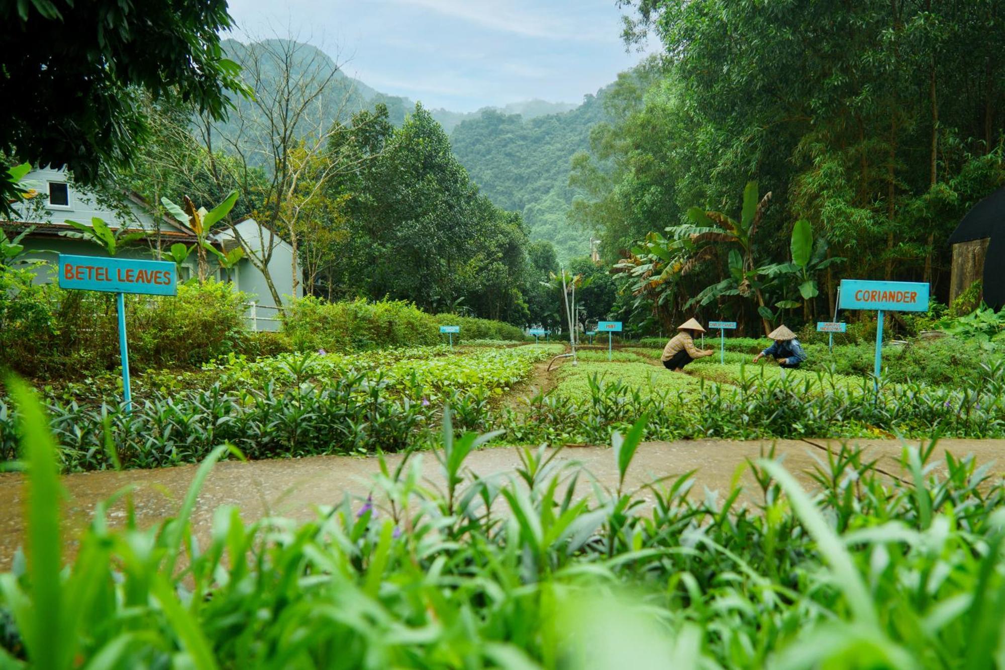 Chay Lap Farmstay Phong Nha Da Lon Exterior photo