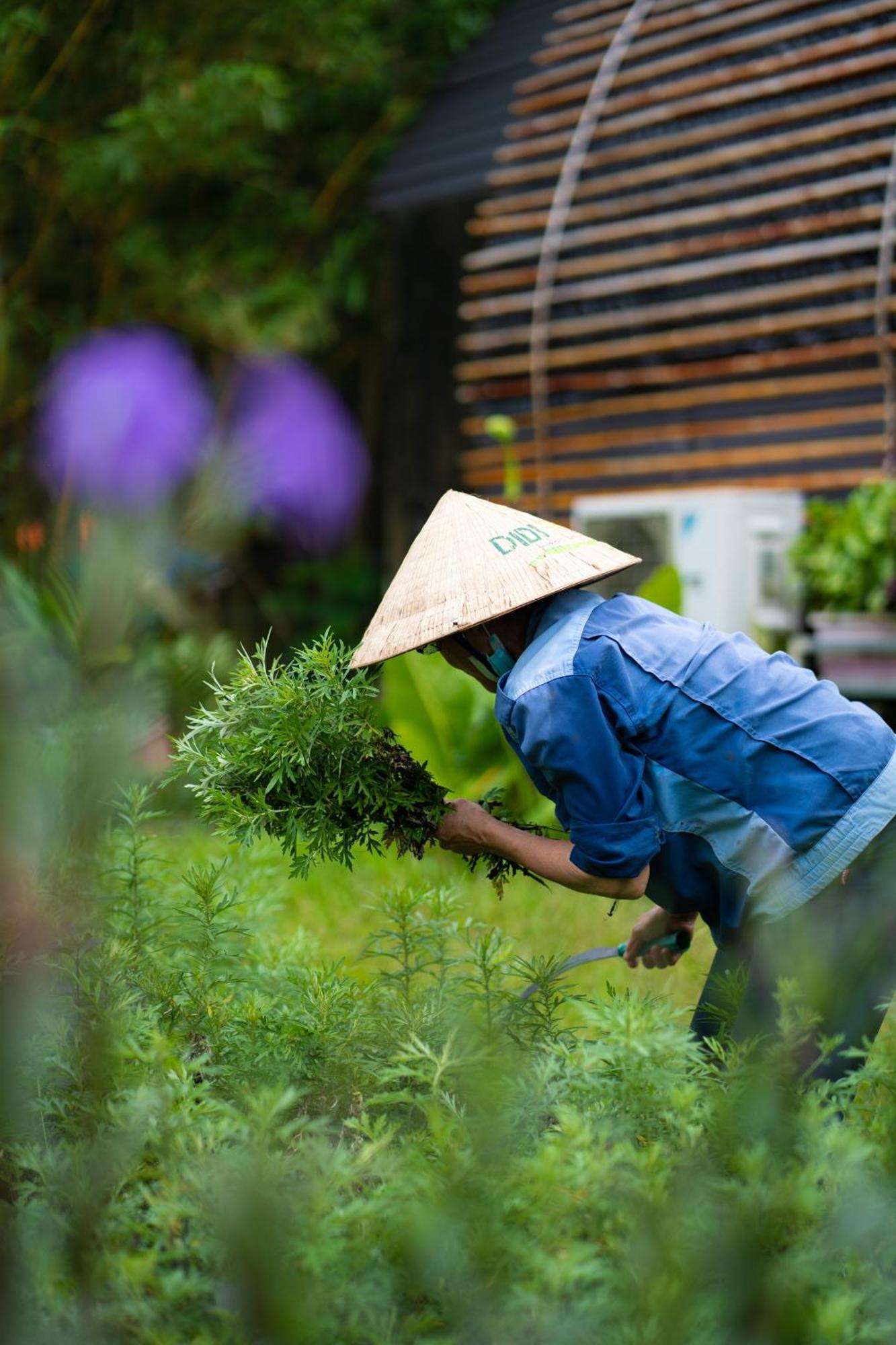 Chay Lap Farmstay Phong Nha Da Lon Exterior photo